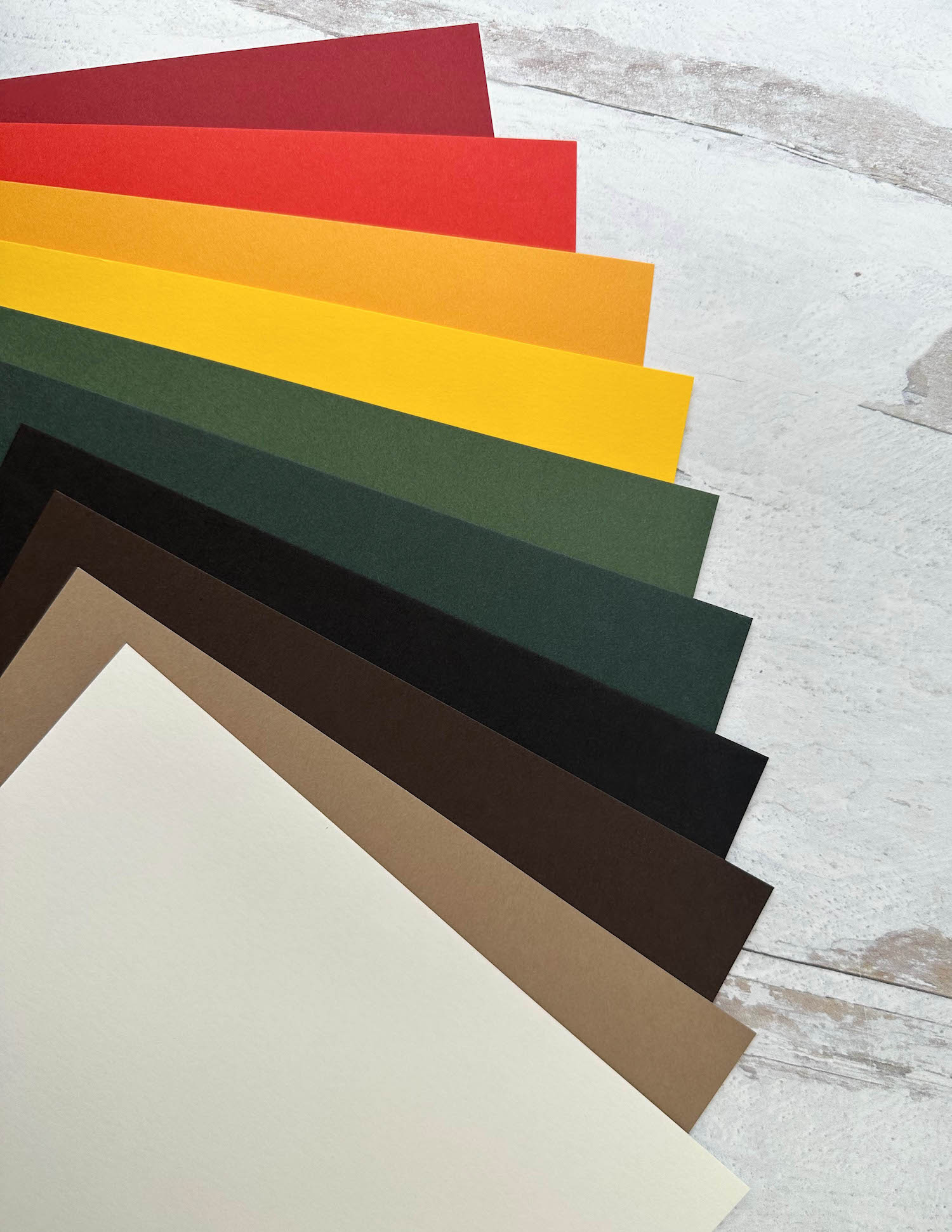 Autumn Cardstock Multipack 8.5 x 11