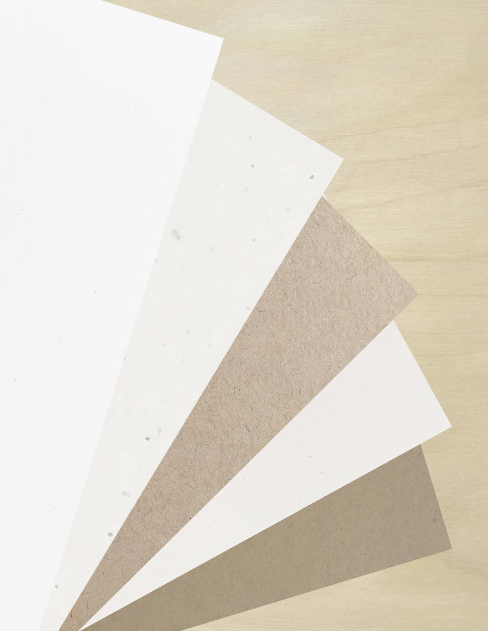 Speckletone Neutrals Multipack